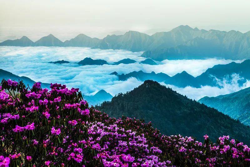 公主间的比拼